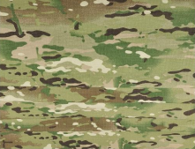 Multicam